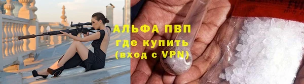 ешки Сосновый Бор