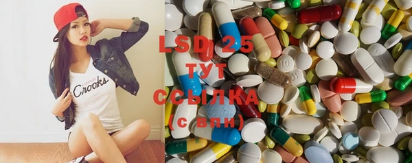 ешки Сосновый Бор